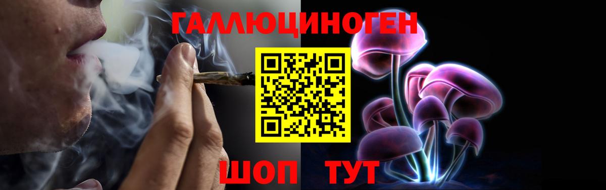 Комсомольск-на-Амуре  Псилоцибиновые грибы Psilocybe  Вход с VPN 